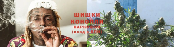 spice Лагань