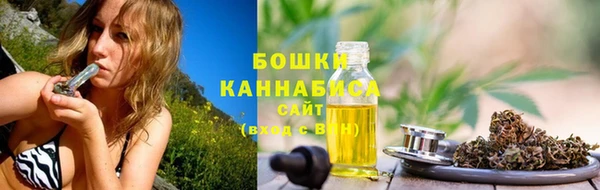 spice Лагань