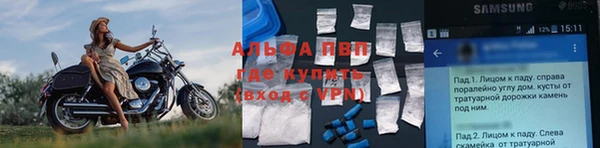 шишки Ладушкин