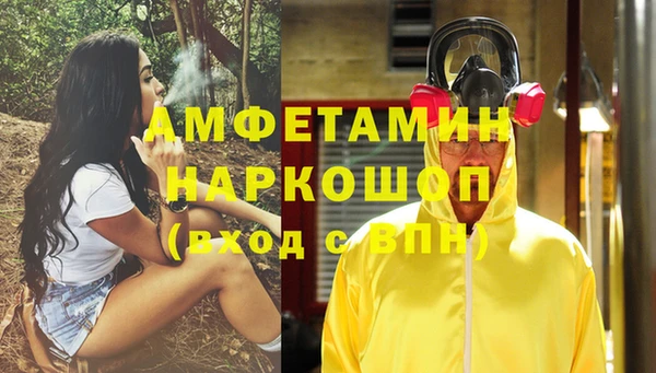 шишки Ладушкин