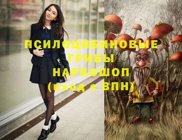шишки Ладушкин