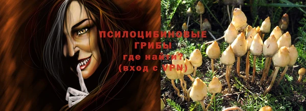 spice Лагань