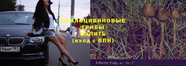spice Лагань