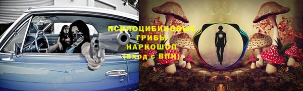spice Лагань
