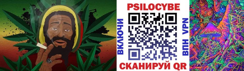 Купить где  Енисейск  Галлюциногенные грибы Magic Shrooms 
