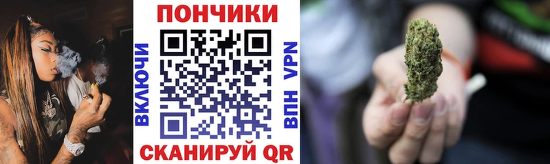 Купить где Енисейск Конопля индика